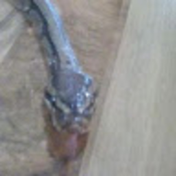 Meet your Posher, Lima - Picture 1 of 1